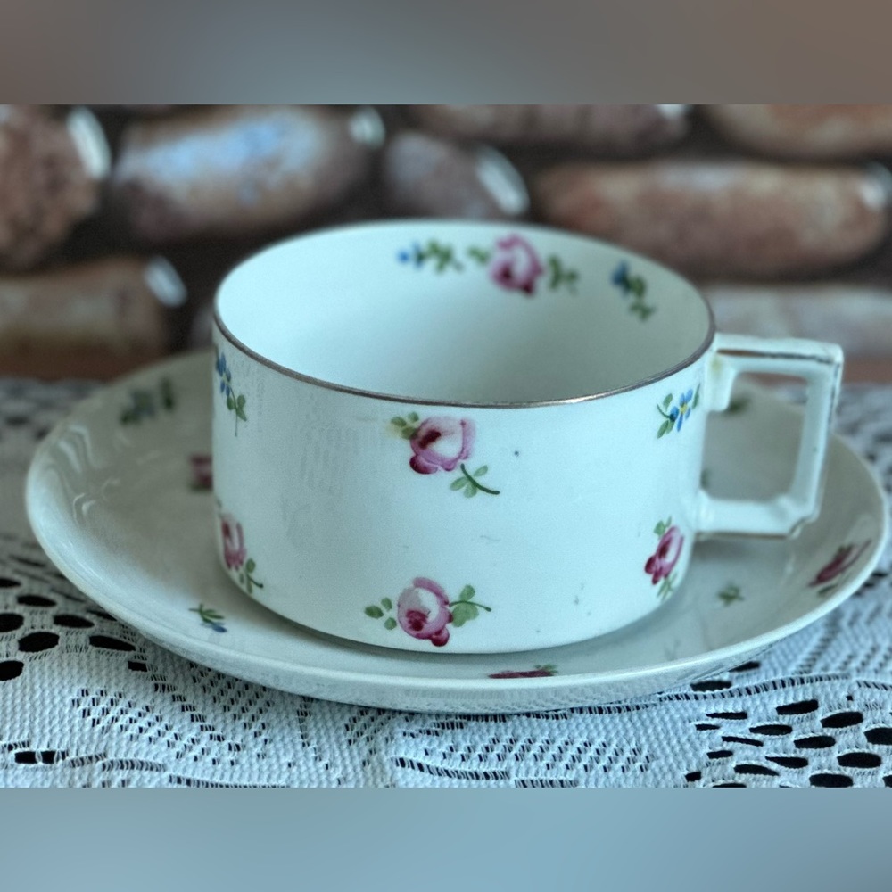 Antique H&C Bavaria Imperial Tea Cup & Saucer